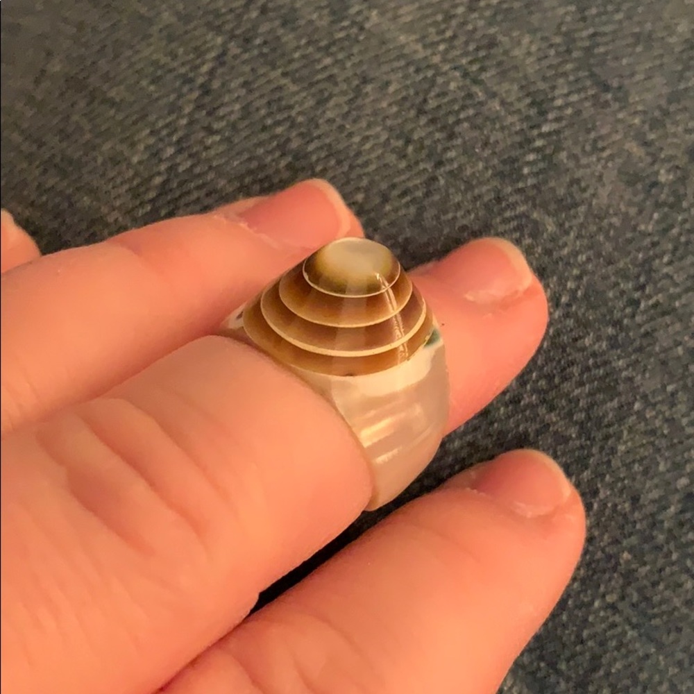 Unique Shell Ring - Picture 6 of 6